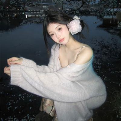 春满凤城
